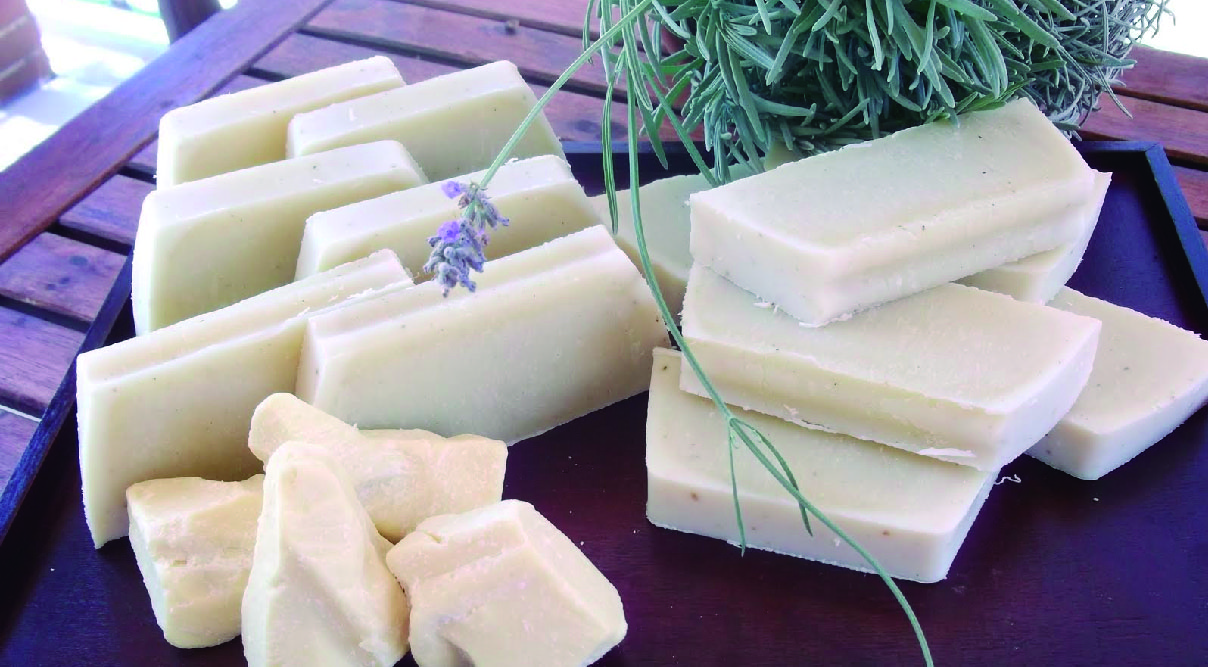 Manteca de cacao y sus propiedades de belleza